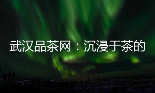 武汉夜生活论坛：舌尖上的夜晚美食之旅